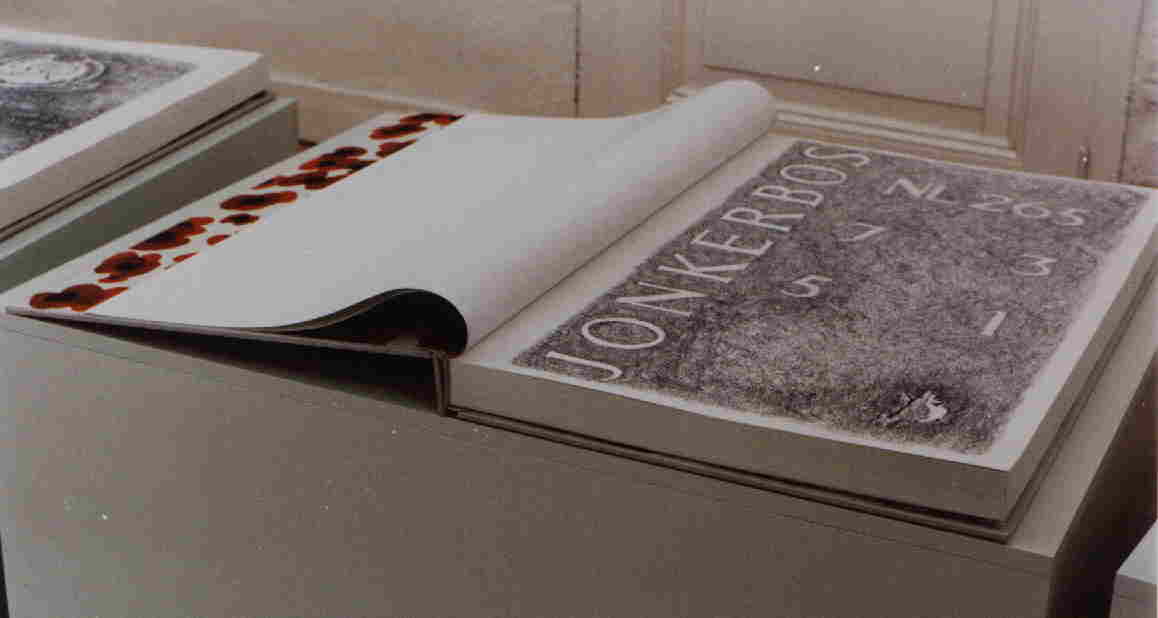 Click for enlargement